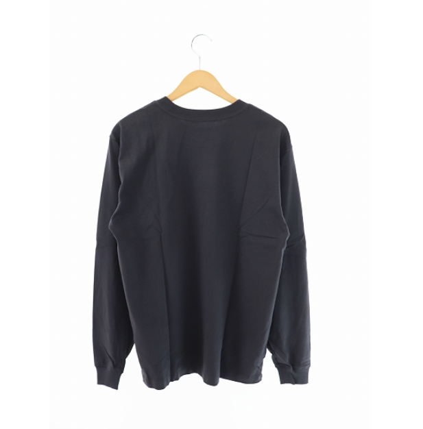 ザノースフェイス THE NORTH FACE ×KAWS カウズ LS TEE NF0A7WLM0C5 S
