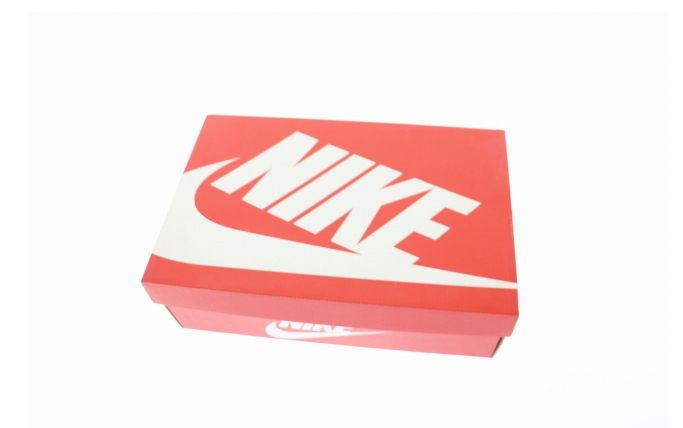 ナイキ NIKE WMNS DUNK HIGH Sail Gum DD1869-109 28.5