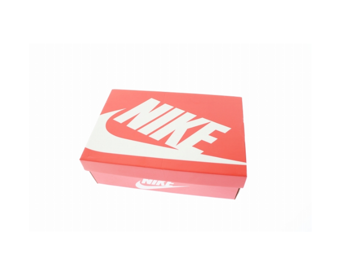 ナイキ NIKE TERMINATOR HIGH GRANITE FB1832-001 28