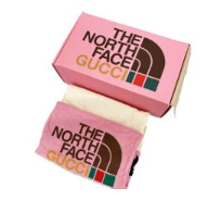 グッチ GUCCI ×THE NORTH FACE ノースフェイス 22SS GGスプリーム キャンバス スライド サンダル 679947 40