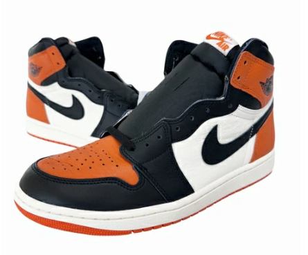 ナイキ NIKE AIR JORDAN 1 RETRO HIGH OG Shattered Backboard DZ5485-008 28